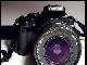 Canon 440D + EF-S 18-55 + карточка Compact Flash превью 8746.