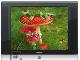 ЖК-телевизор 20" TCL 20B10 F50 превью 9637.