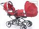 Inglesina Domino Twin превью 11441.