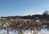 11 соток дер. Мосолово превью 168227.