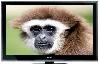 ЖК телевизор Toshiba 42ZV635D превью 282883.