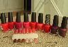 Лаки OPI здоровые и ухоженные ногти превью 350120.