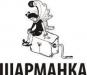 Праздники на заказ от театра Шарманка превью 383249.