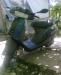 Honda lead90 превью 400972.