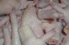 Куриные ноги и куриные лапы на продажу превью 529317.