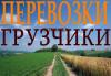 Грузоперевозки,переезды.Вывоз мусора в Казани превью 555468.