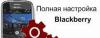 Все услуги и товары для BlackBerry с доставкой превью 635416.