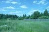 Земельный участок в п. Купанское превью 668590.