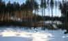 Сысерть, земельный участок 10 соток превью 786299.