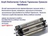 Школа обучения игре на губной гармонике-тремоло превью 890831.