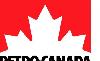 Смазочные материалы  Petro-Canada превью 90228.