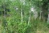 Участок 30 сот. в деревне Лобково превью 931547.