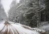 Хмельники, 15 соток ИЖС превью 938555.