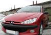 Peugeot 206 вишневый металлик превью 1179782.