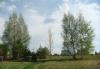 Участок 15 соток, 65 км от МКАД, Щелковск.напр превью 1430399.
