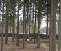 "Западная Лица" - уч-к 55 сот (ижс) превью 1479689.