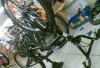 DragonFly Trigger превью 1502149.
