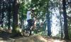 BMX bone превью 1524149.