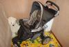 Продам GT3 Moka Completo Peg-Perego превью 1593218.