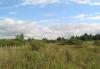 Красное Село, 1,5 км, участок 12 соток превью 1595021.