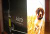 Новый Garmin Astro 220 DC30 с ошейником для собаки превью 1597155.