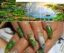 Photonailart-комплект для быстрого запуска бизнеса превью 1608792.