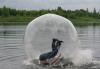 Водный шар превью 1079197.