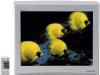 Телевизор JVC AV-2106CE превью 1086602.