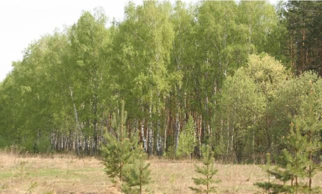 Продаётся участок у реки Ушна Москва