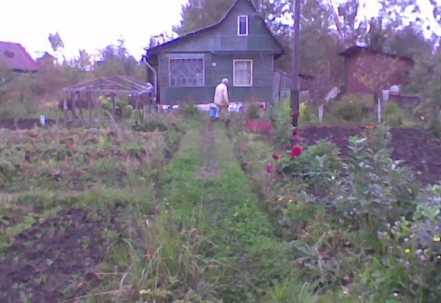 Дача в Пупышево Санкт-Петербург