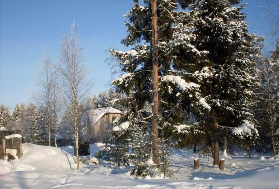 Всеволожск,Мельничный ручей,уч 14,5 сот,ижс Санкт-Петербург