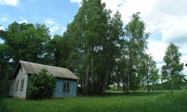 Дача на берегу Оки 90 км от МКАД Симферопольское ш Серпухов