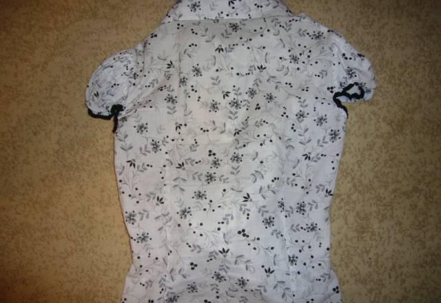 Блузка с короткими рукавами р.42-44 Москва