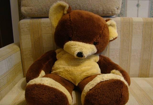 Медведь Москва