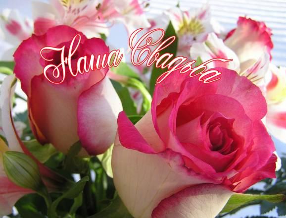 Фотограф Илья Ждановский вконтакте, видеосъемка Санкт-Петербург