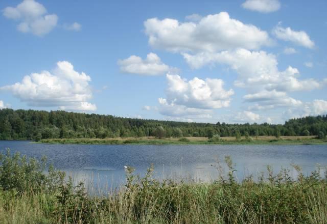 Земля на Рыбинском Водохранилище под Базу Отдыха Москва