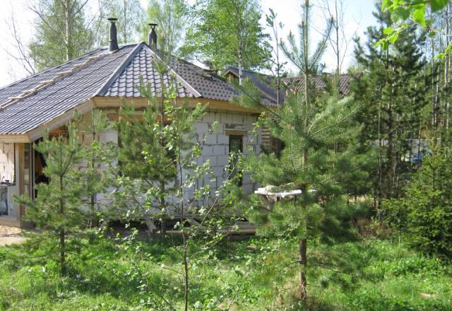 Аренда нового дома в Ольшанниках на лето Санкт-Петербург