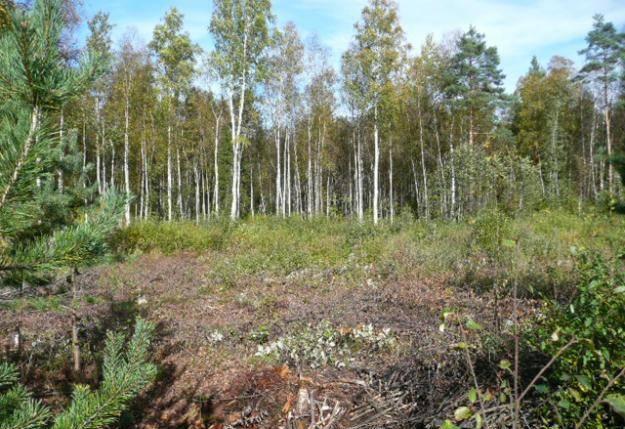 Собственность Участок  10  сот.   Агалатово Агалатово