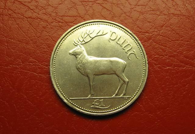 Ирландия, Один Фунт (Punt/Pound) 1994 года Москва