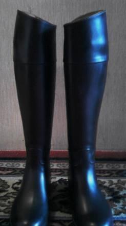 Сапоги для верховой езды Москва