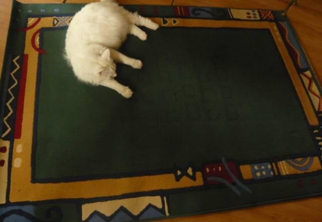 Небольшой коврик Москва