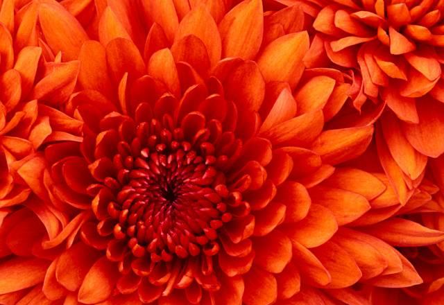 Мастер обработки цифровых изображений Новосибирск