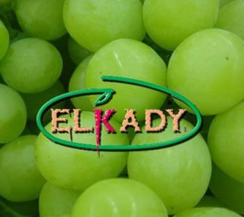 Виноград из Египта (Grapes from Egypt) Москва