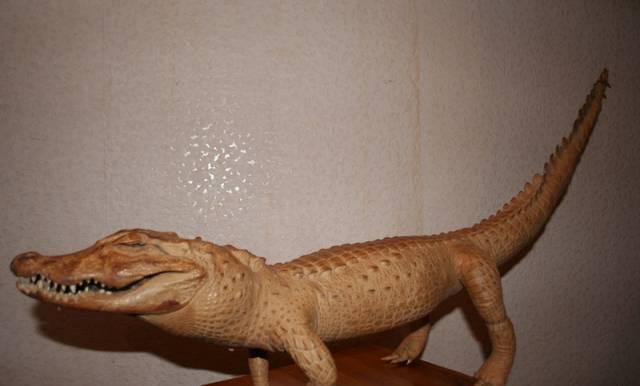 Чучело крокодила Москва