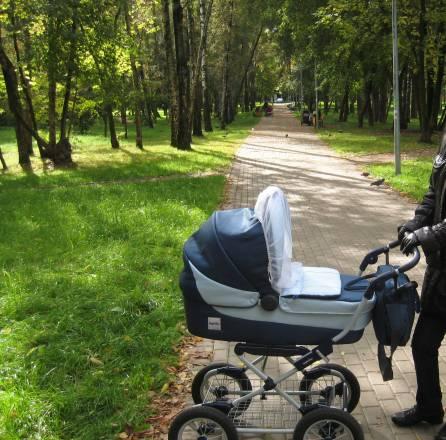 Каляска Inglesina Sofia на шасси ergo bike Москва
