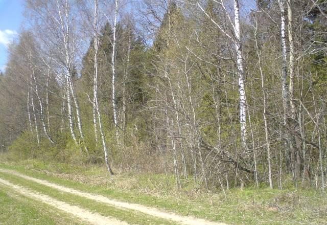 Участок под   дачное строительство Руза
