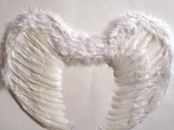 Ангельские крылья, ковбойские шляпы Санкт-Петербург