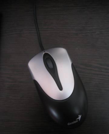 Мышь Санкт-Петербург