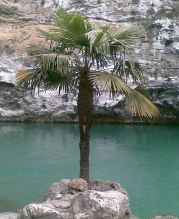 Отдых в Абхазии Пермь