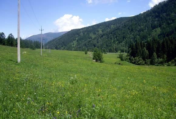 Земля в Республике Алтай ,Шебалинский район Горно-Алтайск
